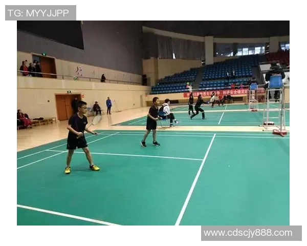 深圳羽毛球队在锦标赛中的状态分析与表现评估